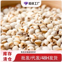 薏米仁