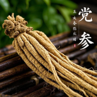道地党参
